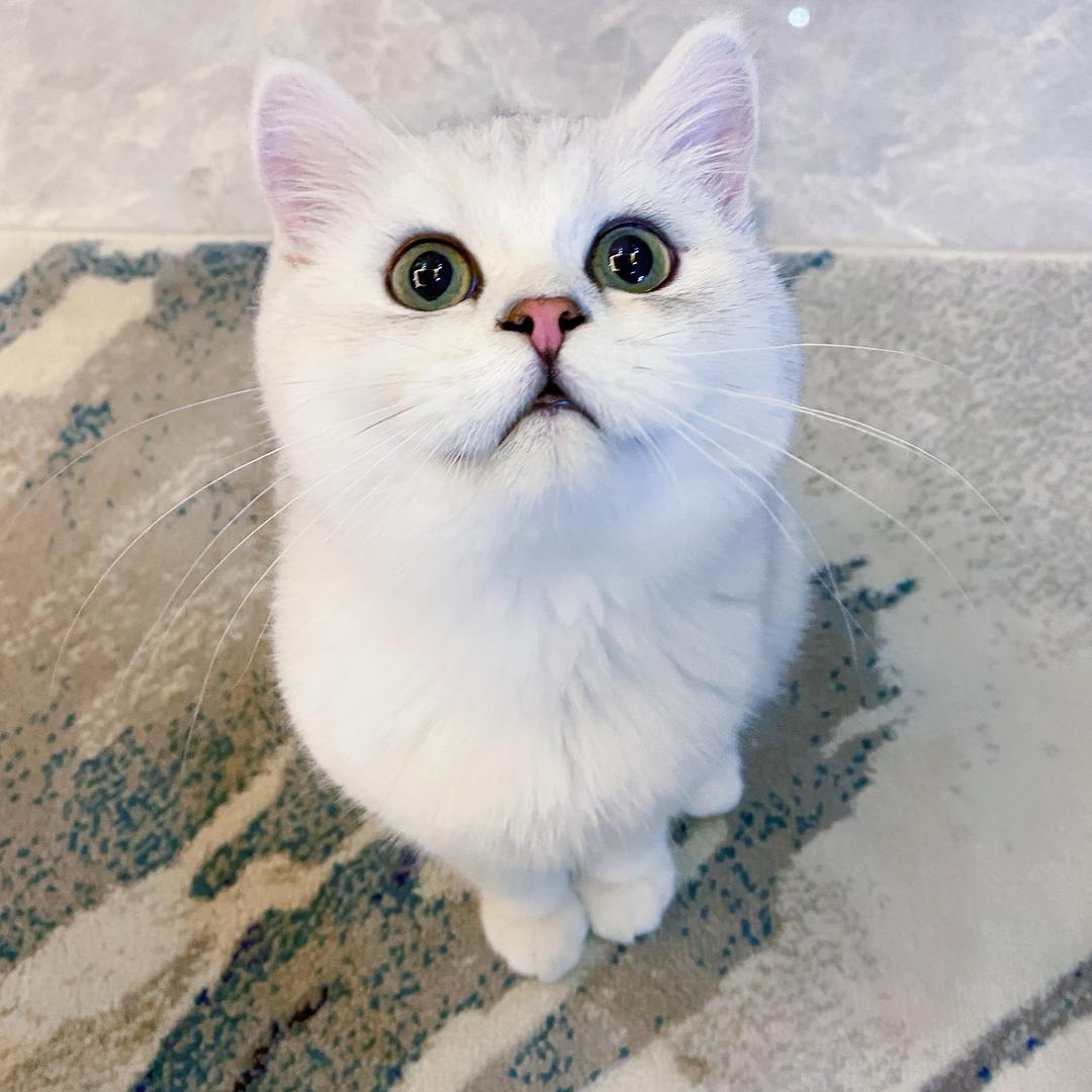 ～