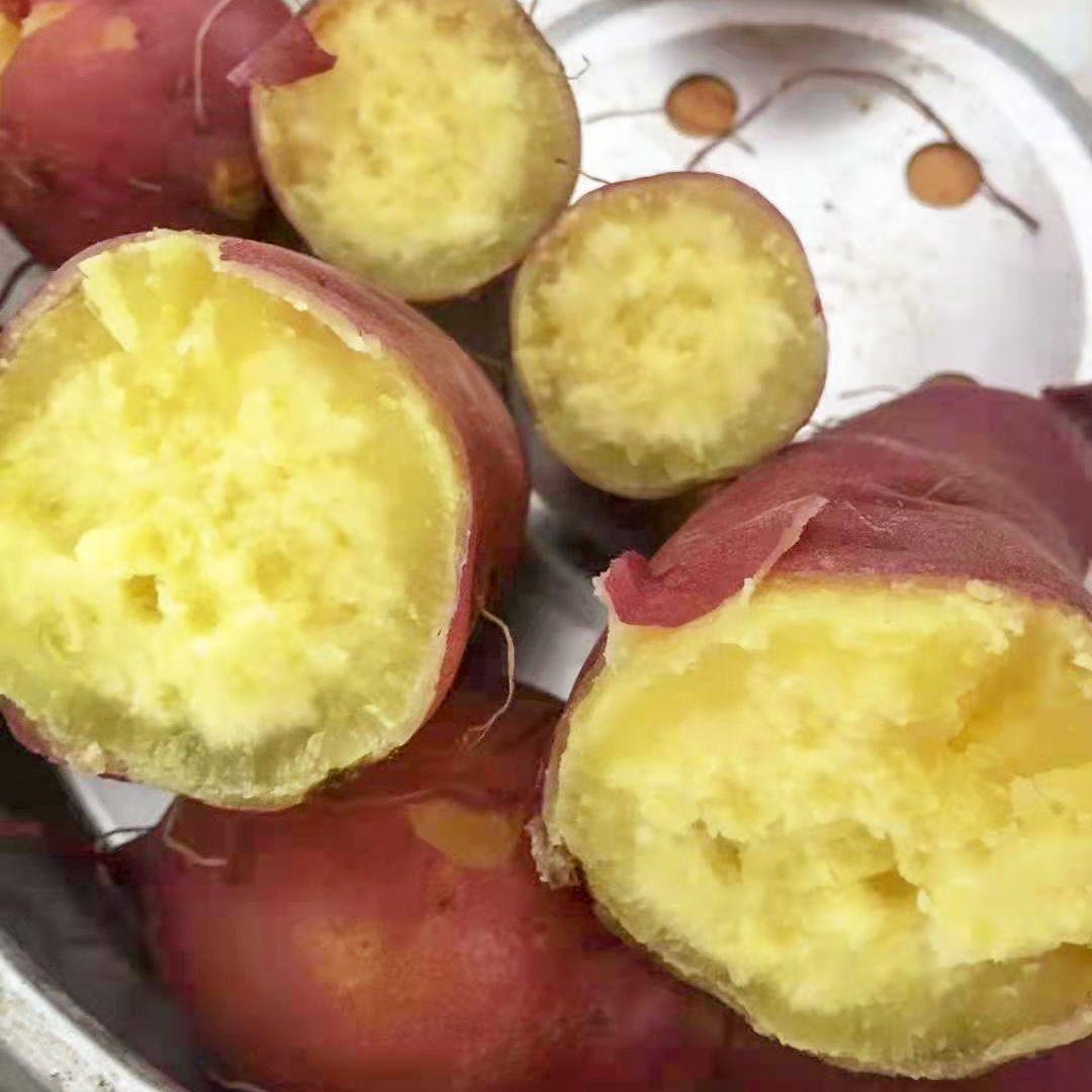 西西生态园农场