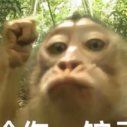 难道我真的是奴隶！？🤣