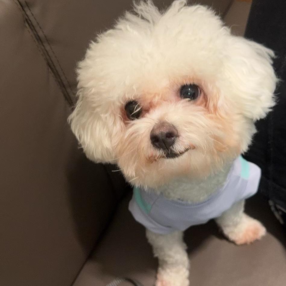 im 杨宝宝（三角洲行动）