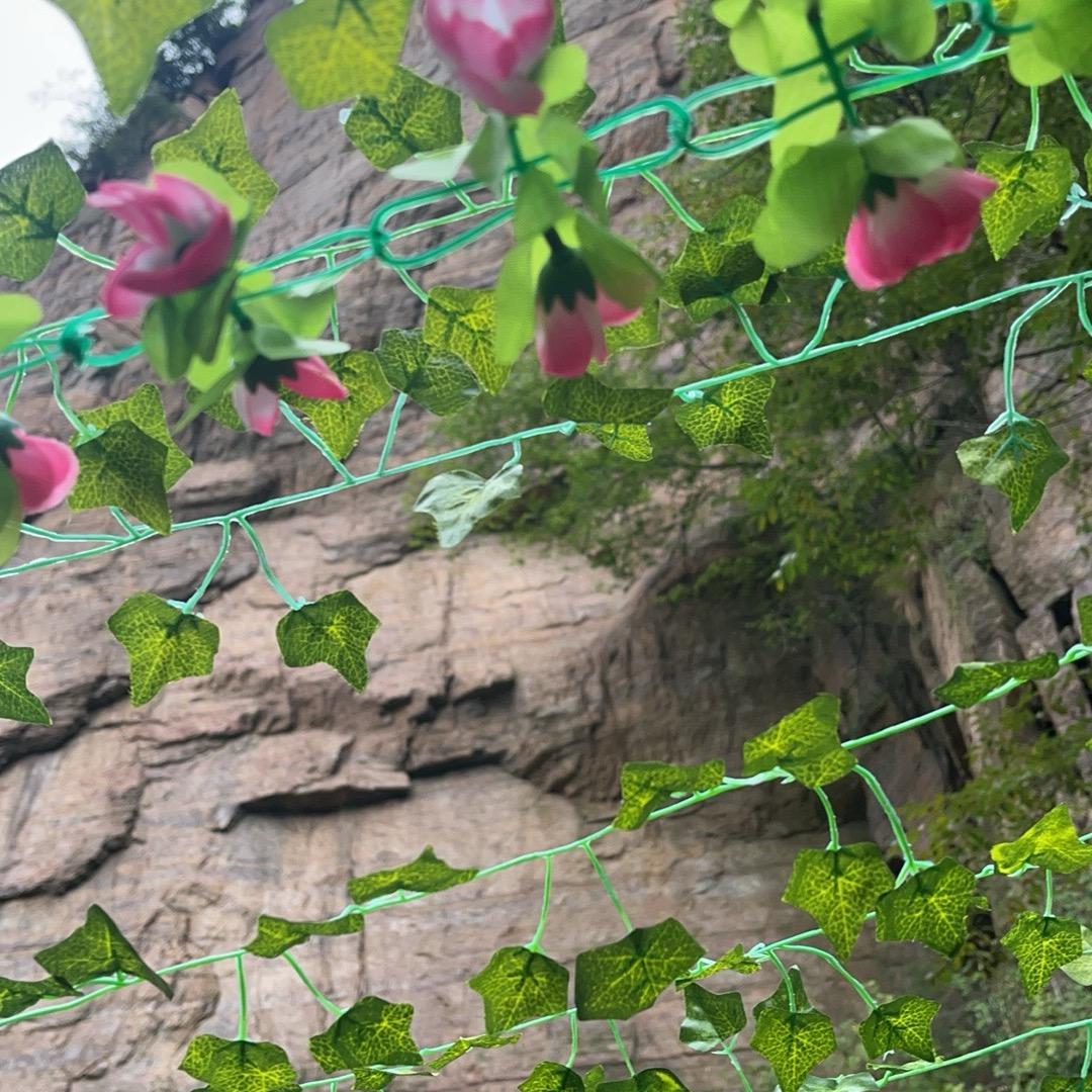 嘎嘣脆的口感酸酸甜甜