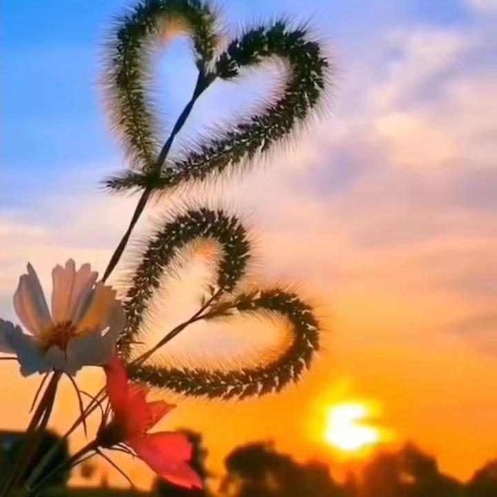 🌈💕梅晴💕拒连赞