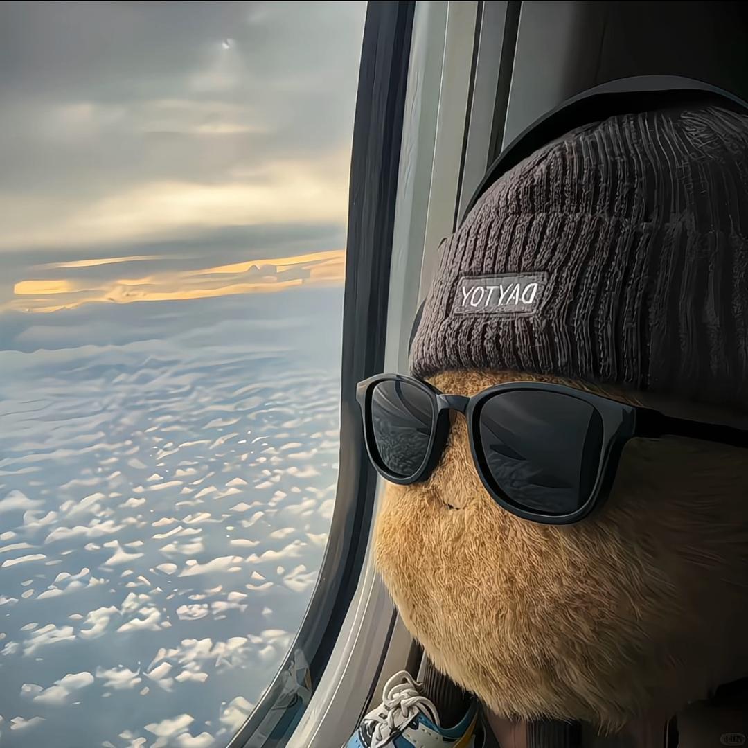 何日方知我是我.