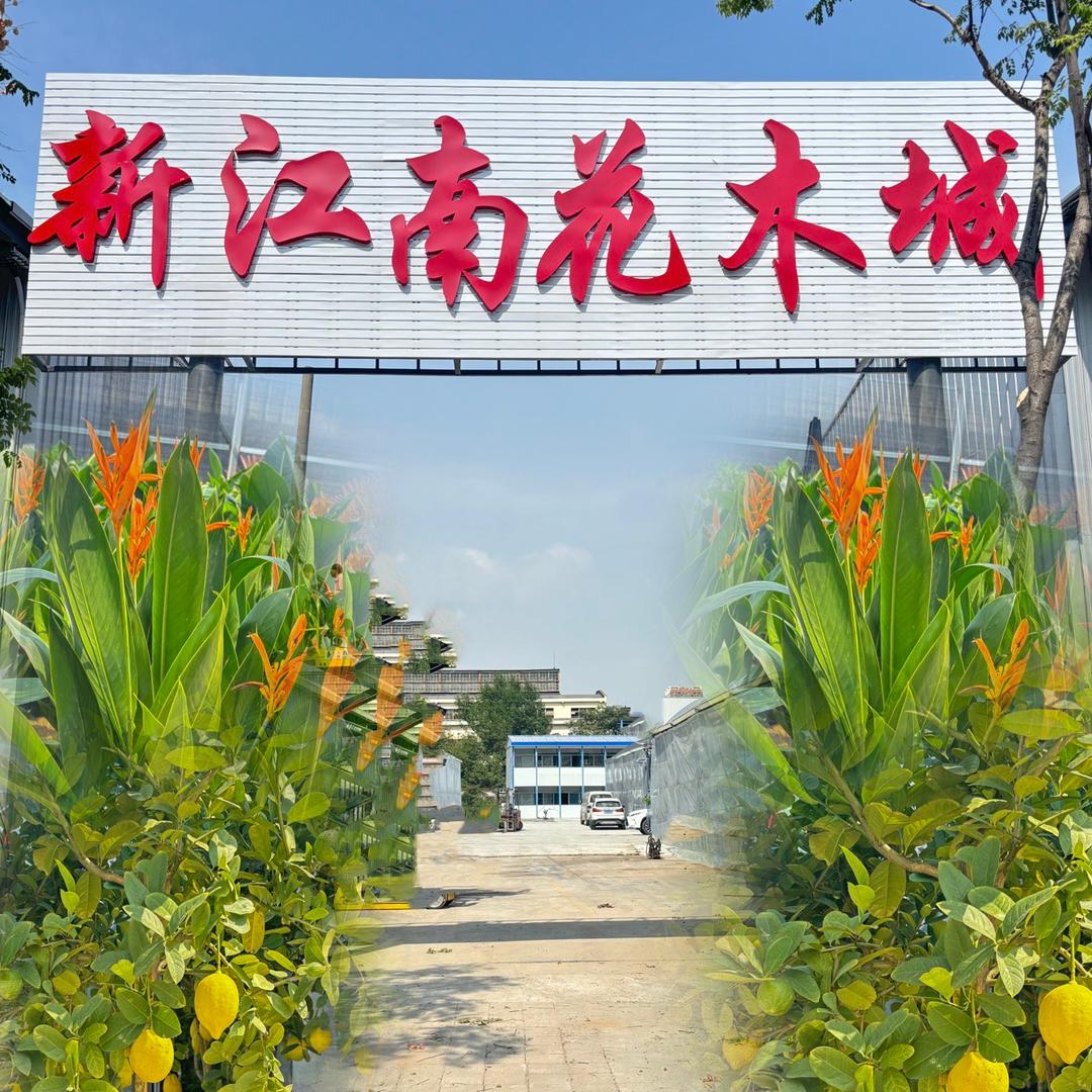 武汉新江南花木城和新江南二手家具城