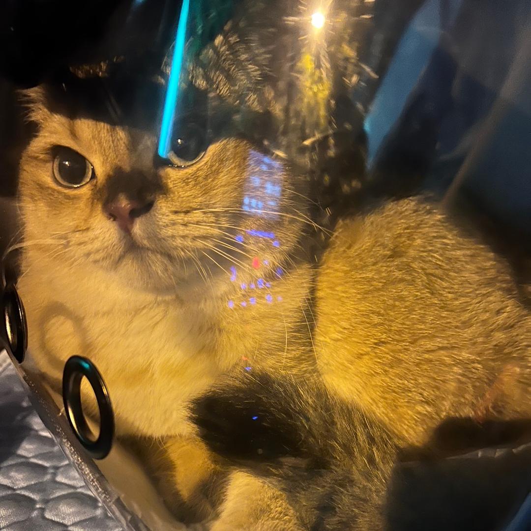 郭神奇✨