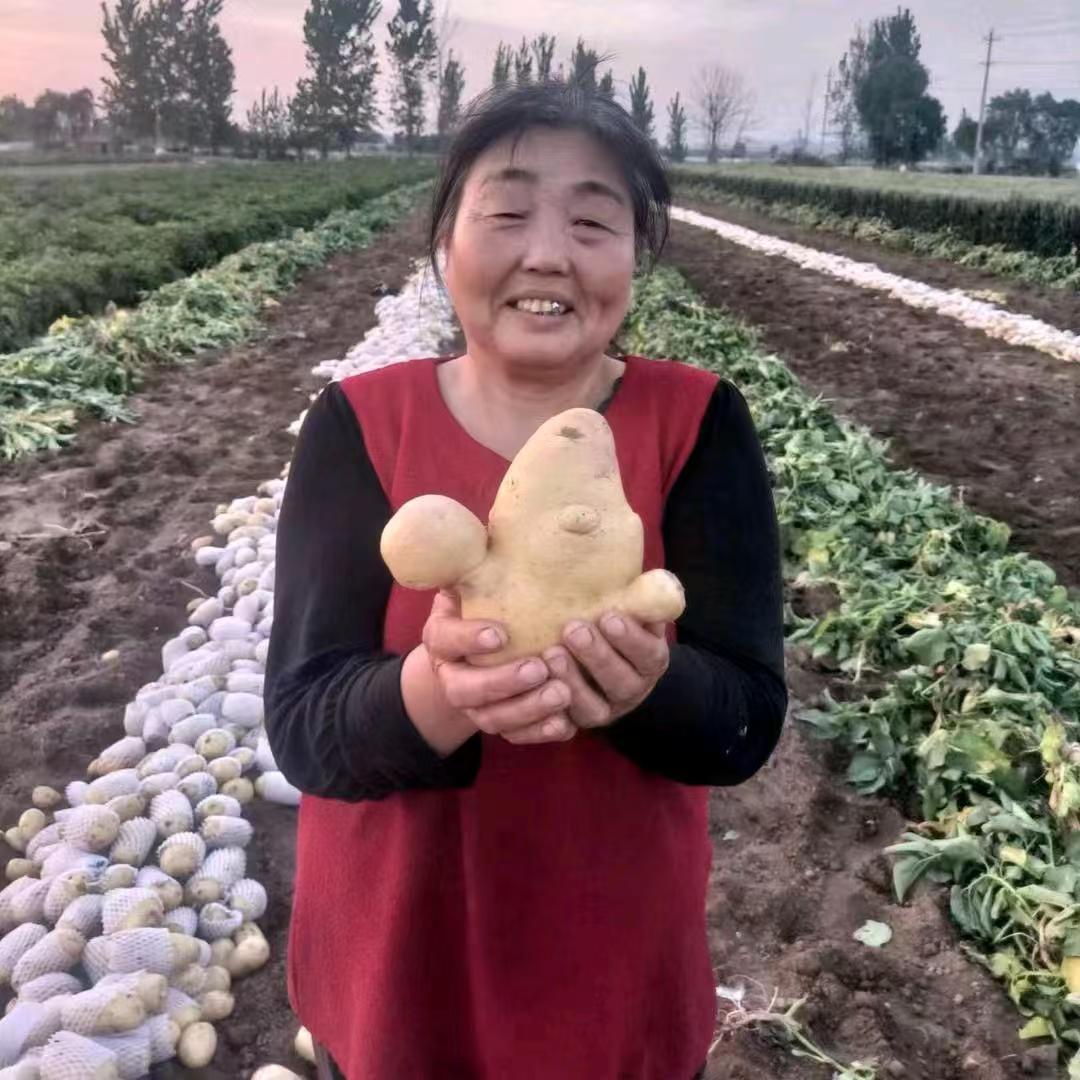 农村王二妮