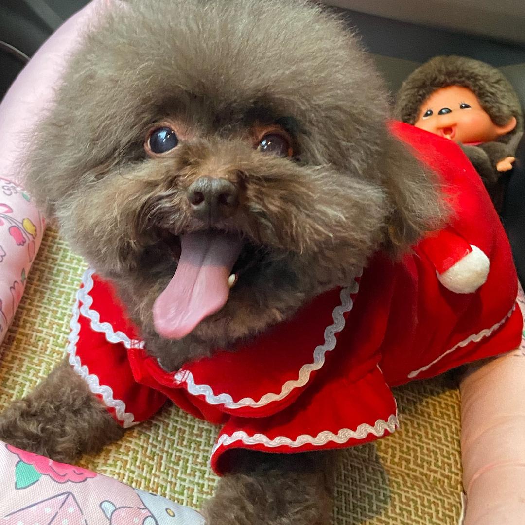 优优 妹妹