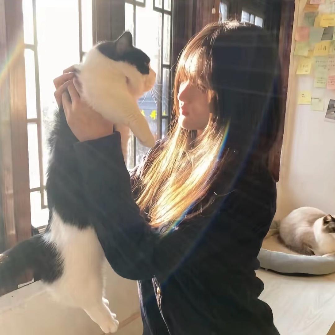 棕逗兔🐰