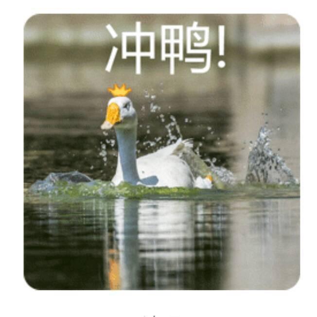 冲鸭 ！