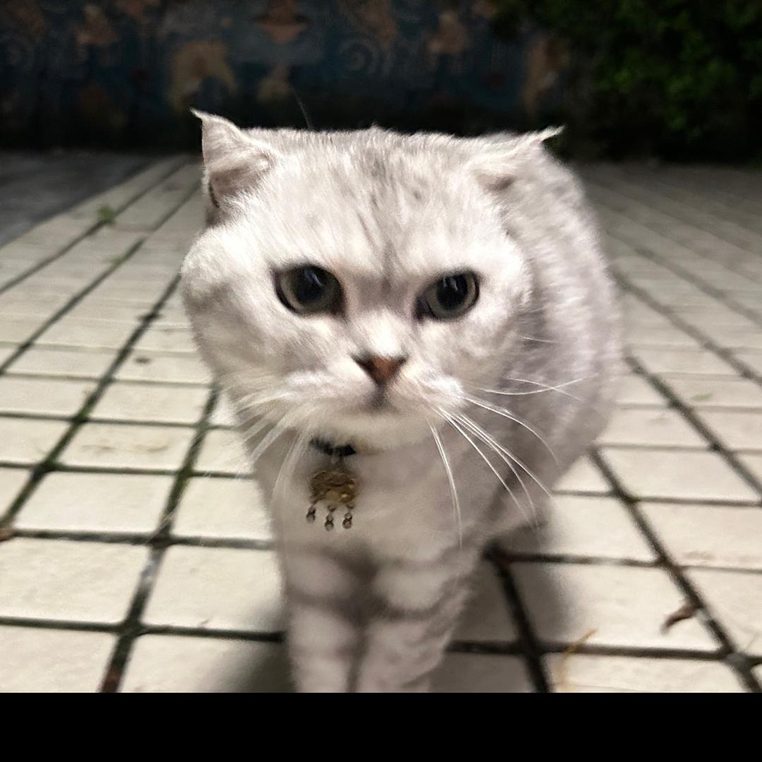 幸而以山川-秦Epson