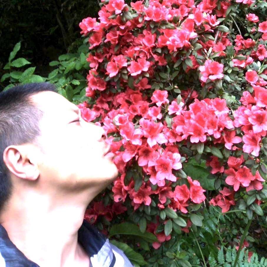 拾里花坊