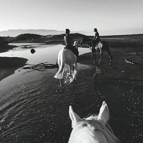 嗯嗯