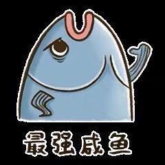 直隶大伟观赏鱼