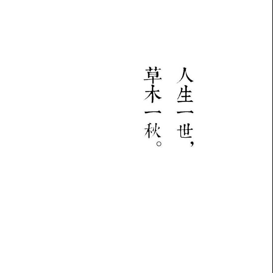 辛巴