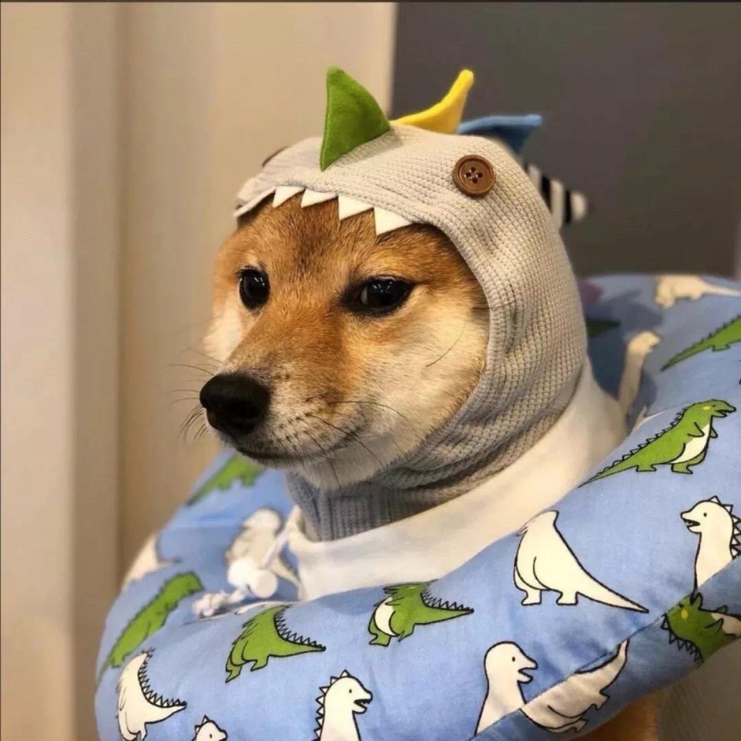落露