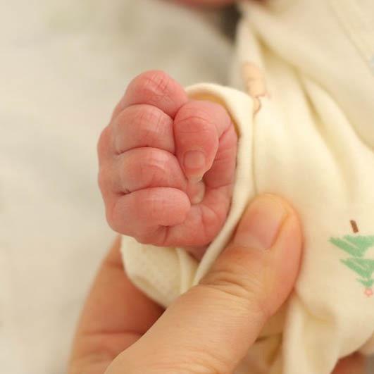 小橙子（可爱呢）