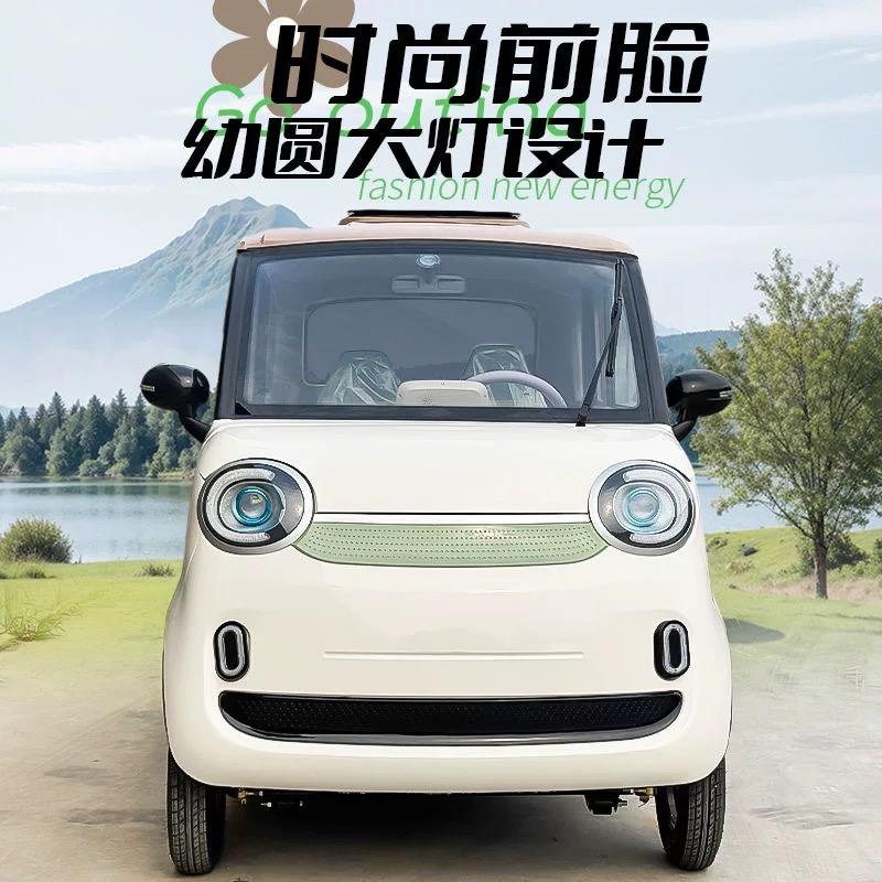 领动新能源高端四轮代步车工厂