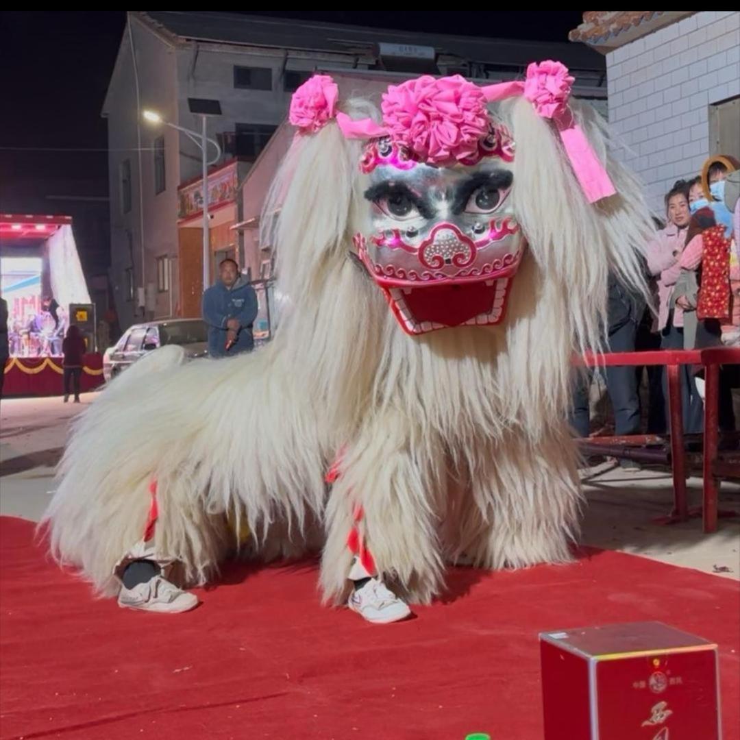 濮阳精彩小白狮（中意）