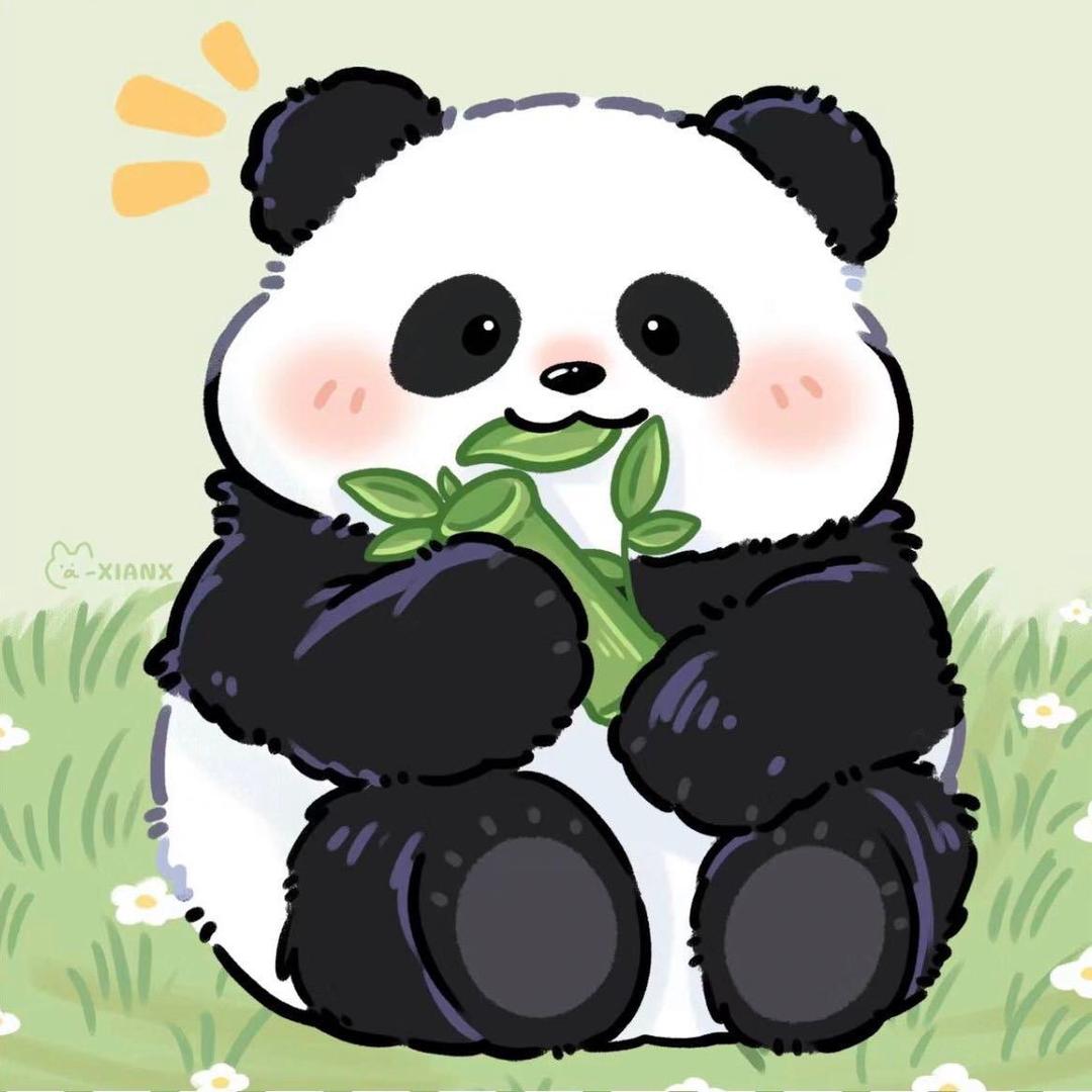 yxchao