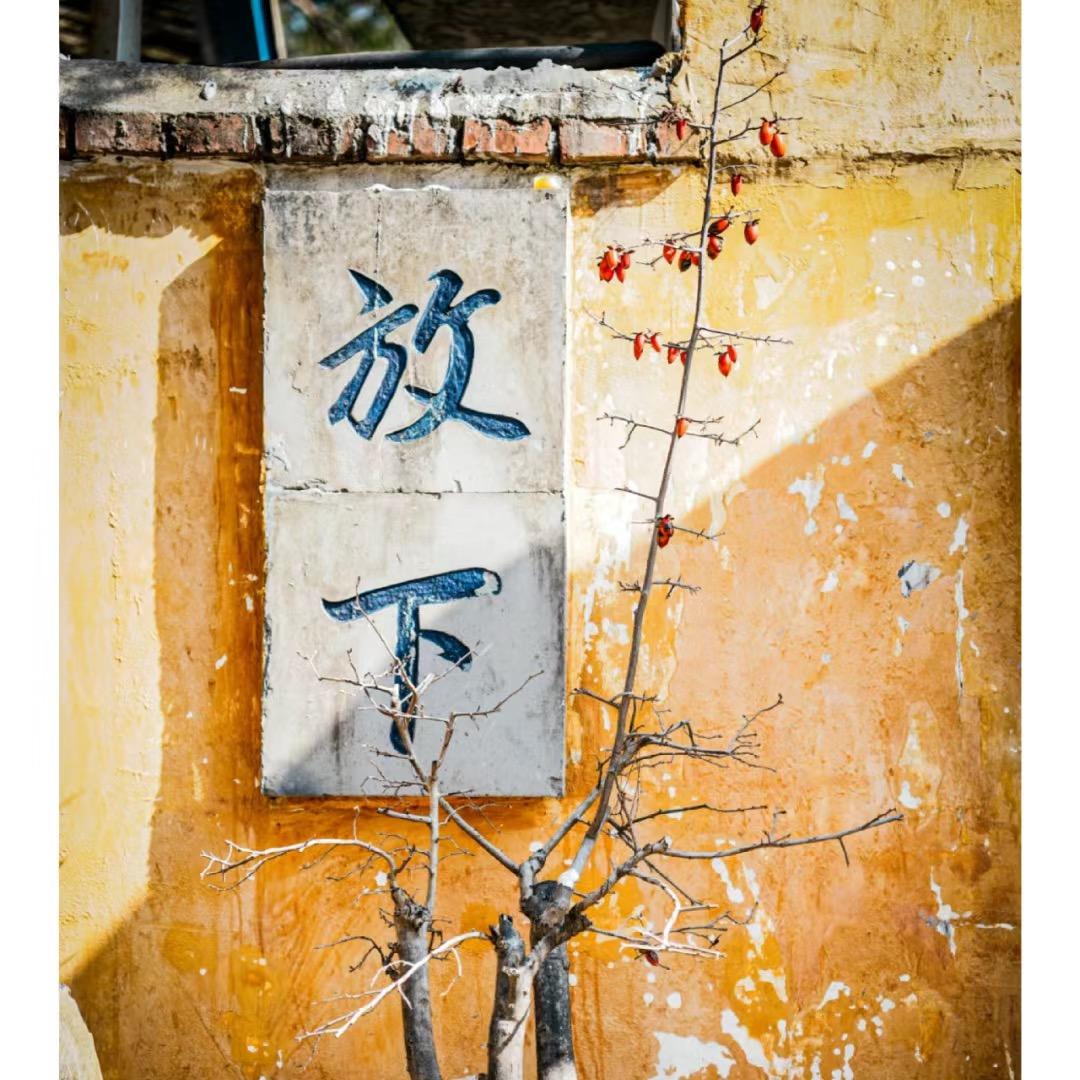 知凡大师兄