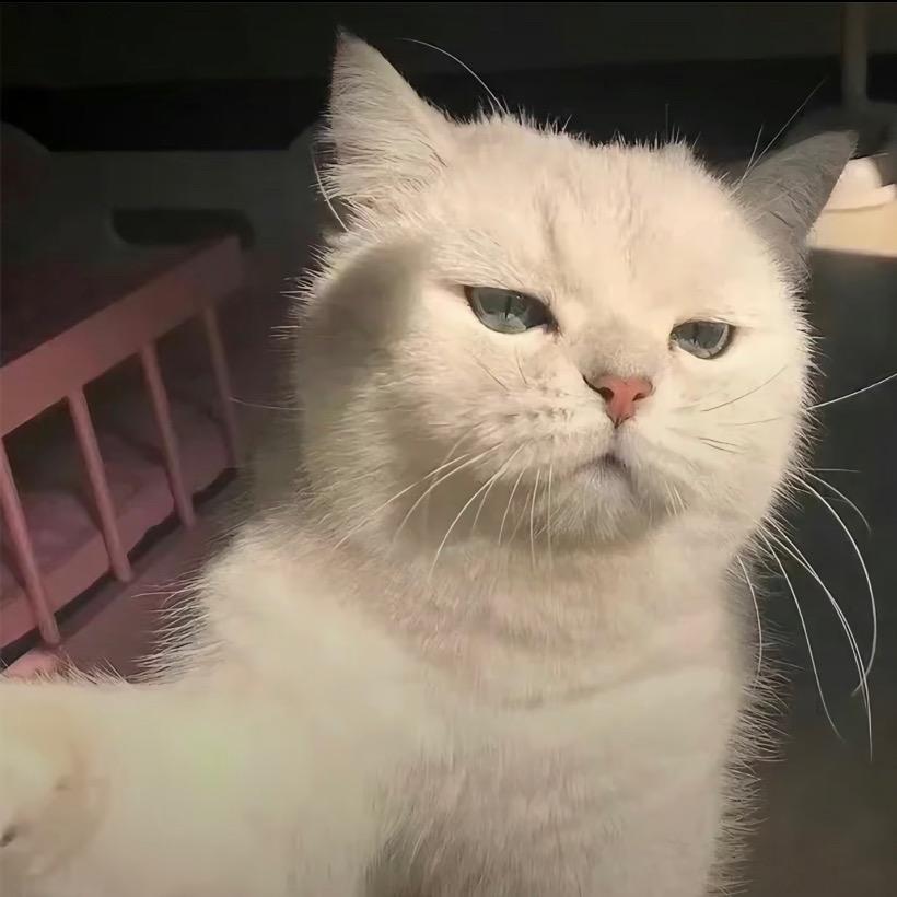 鹏鹏～