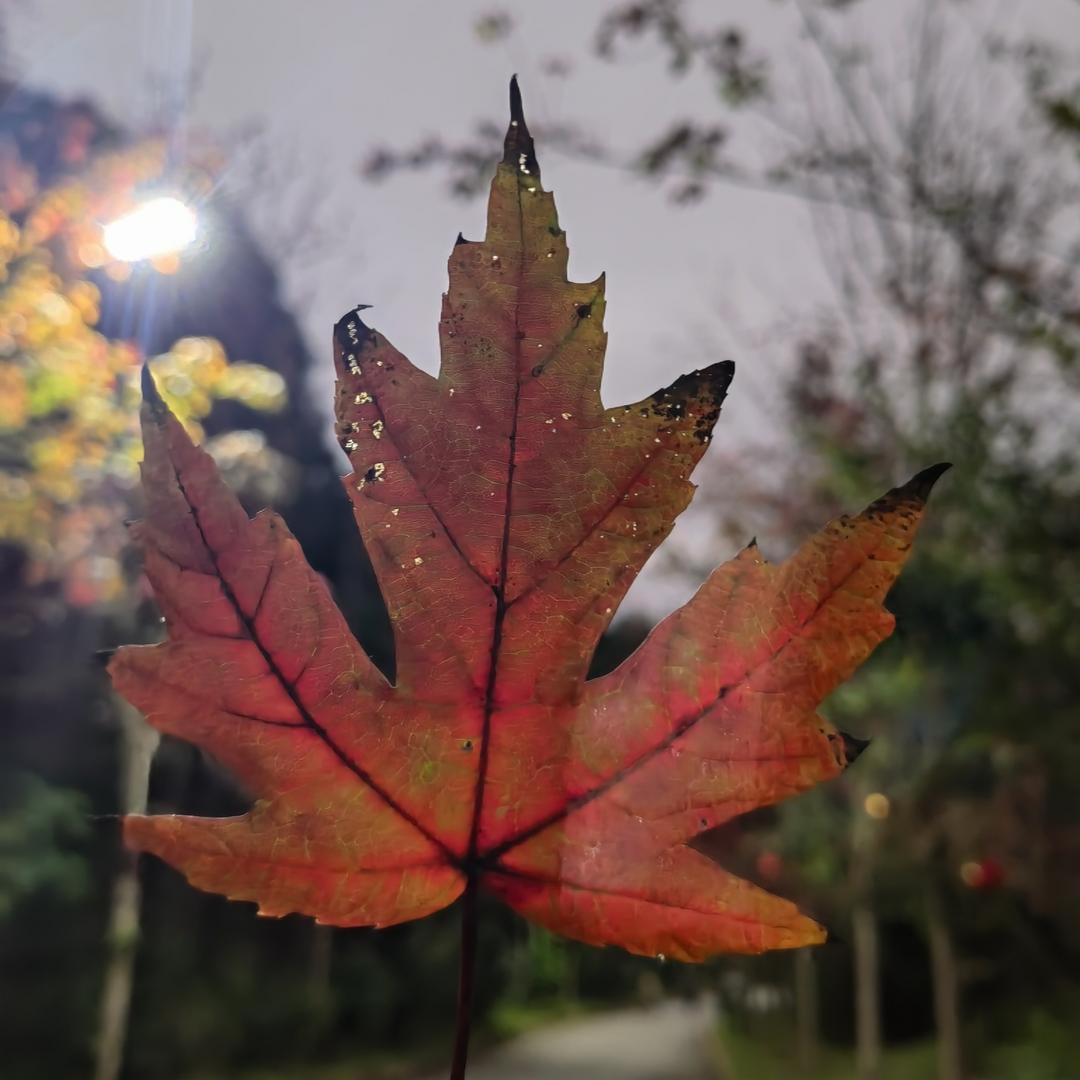 芳芳百货经营部