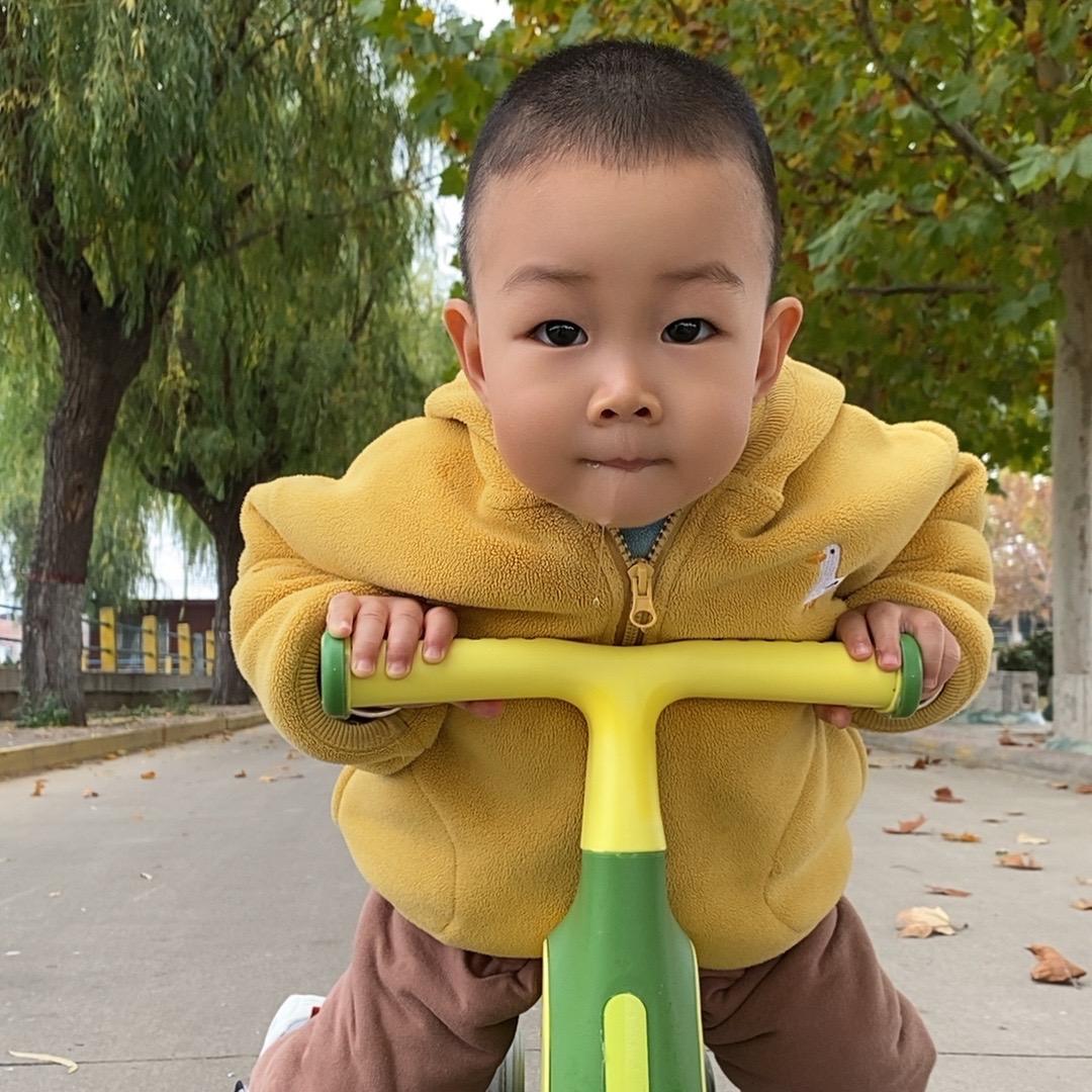 庆崽成长记