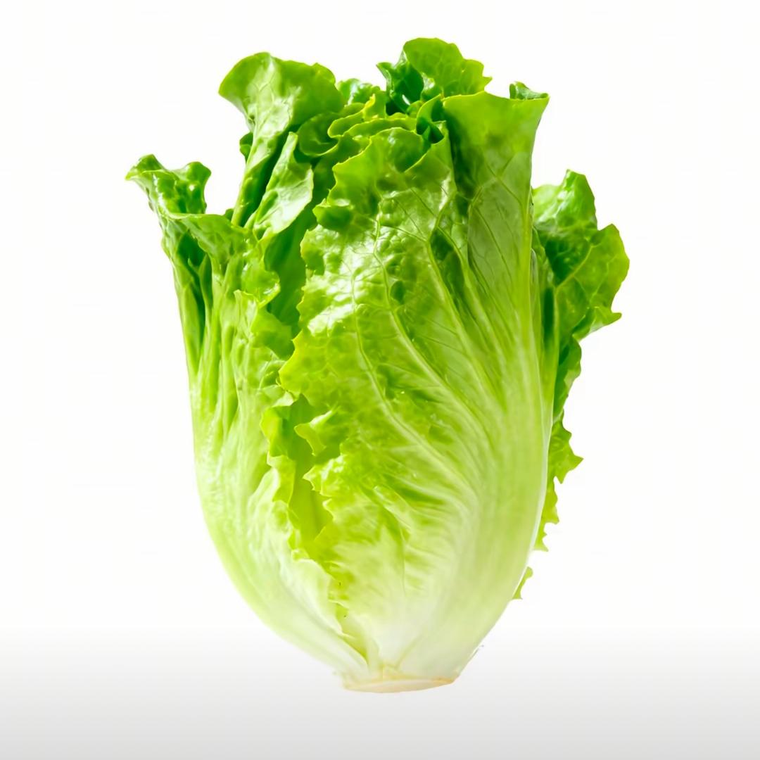 要生菜