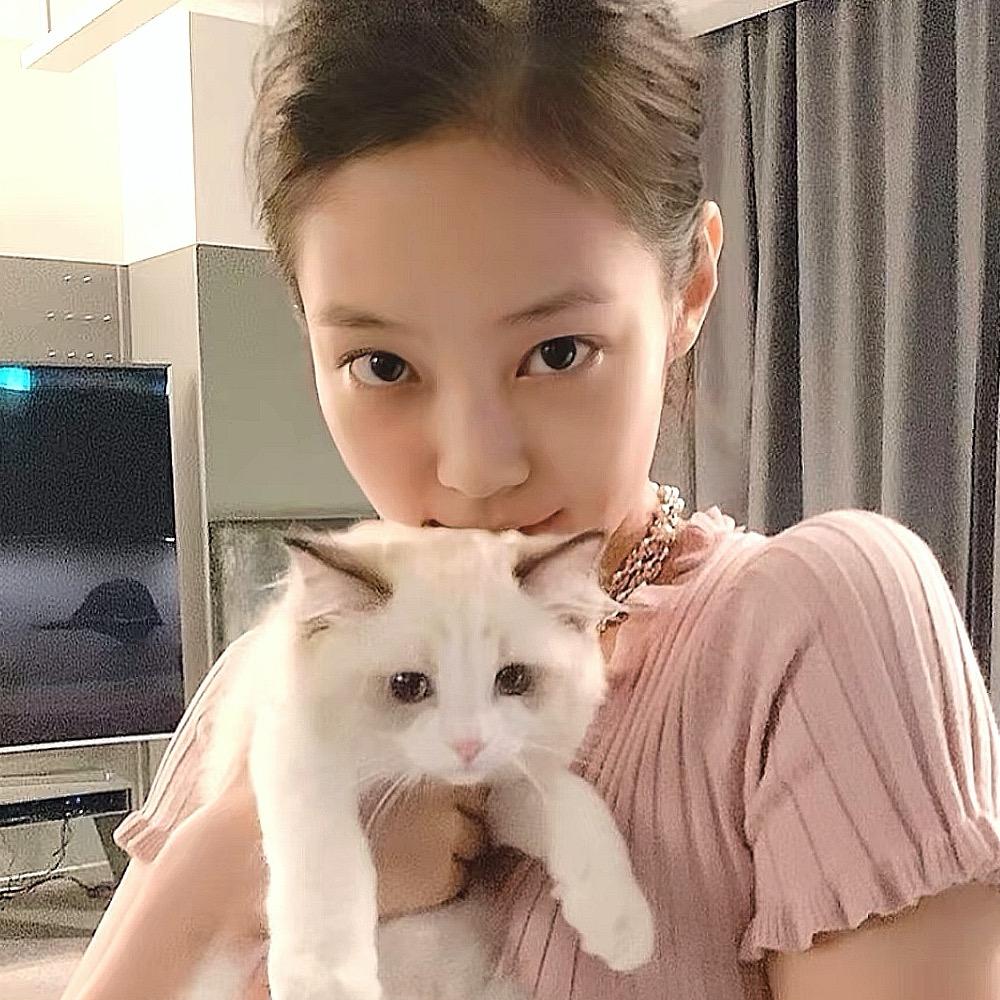 簇慈