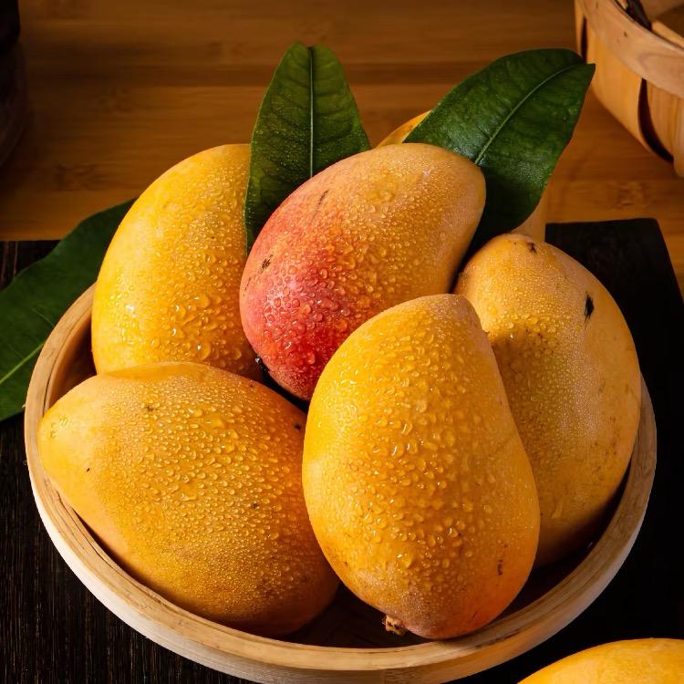 振兴乡村助农（果园直发）