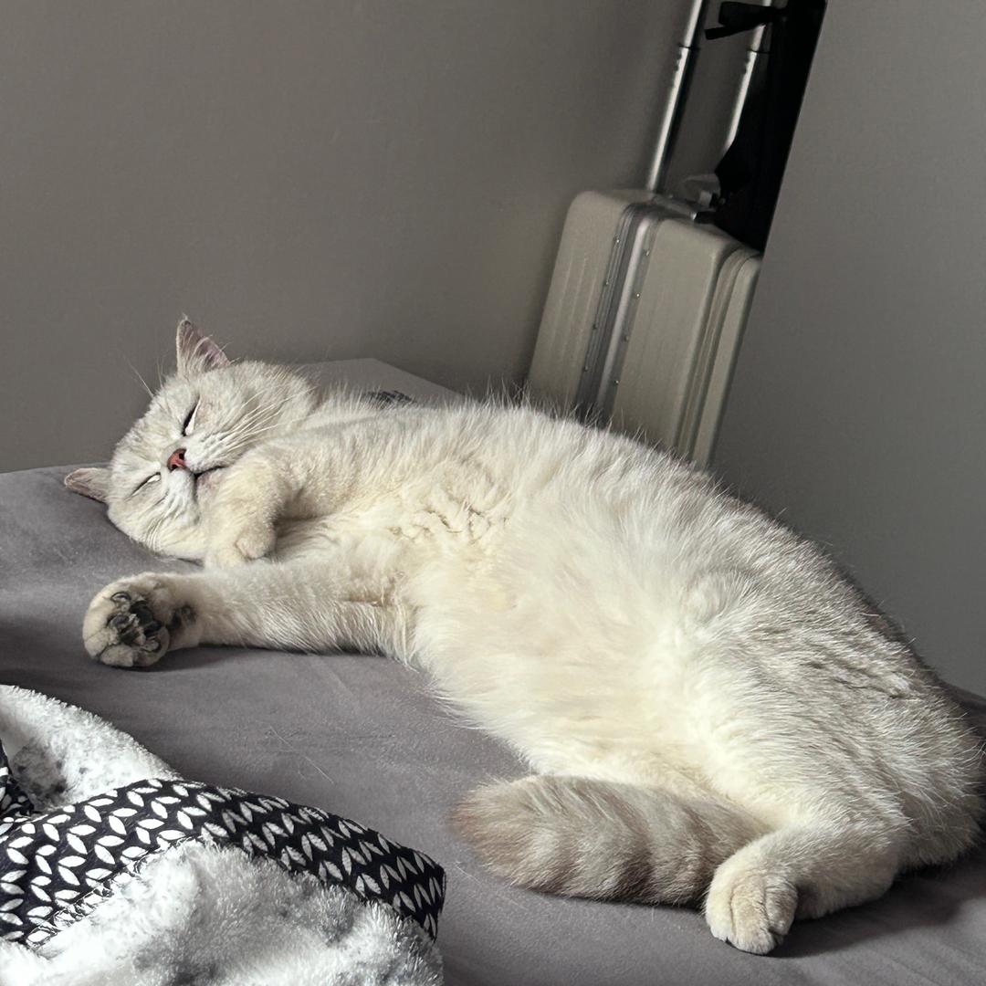 没事早点睡💤