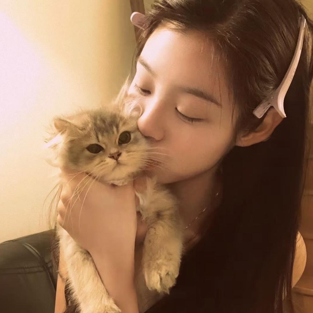 圆圆（摄影号）