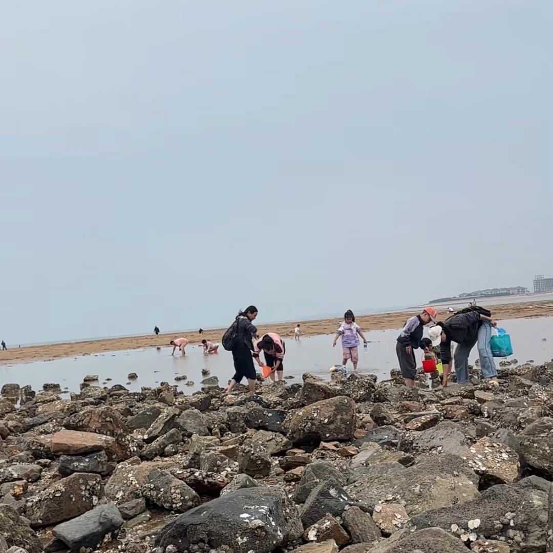 天天赶海