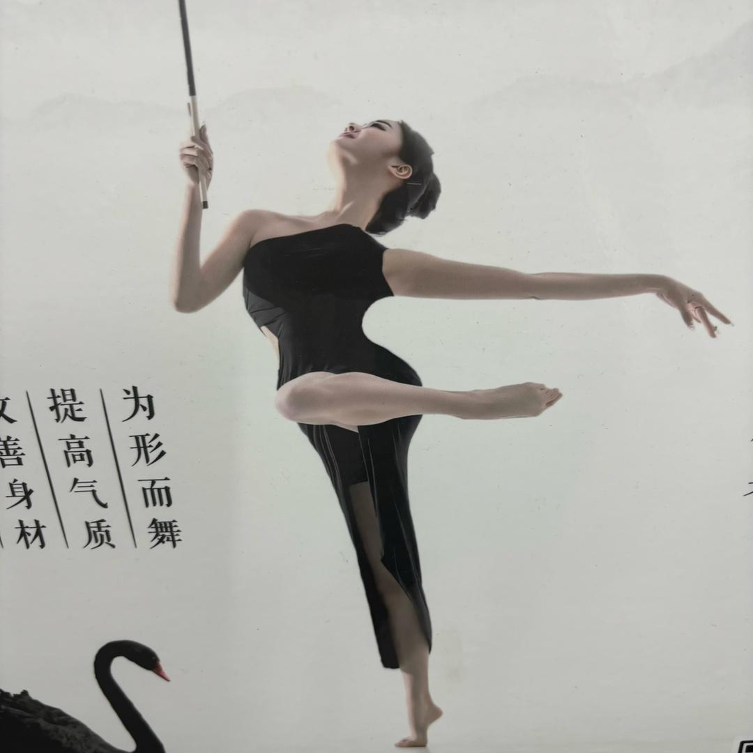 阳光灿烂的日子
