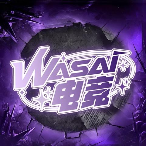 哇塞🎮电竞互动