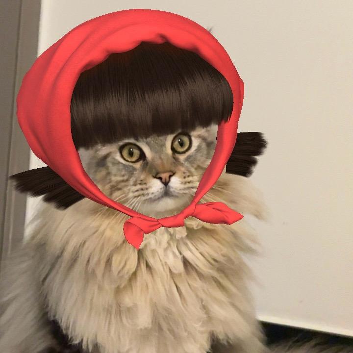 𝔂𝓪𝓷𝔂𝓮𝓮