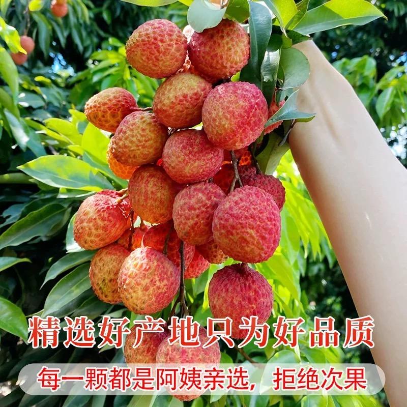 冷鲜汇冷链食品商行