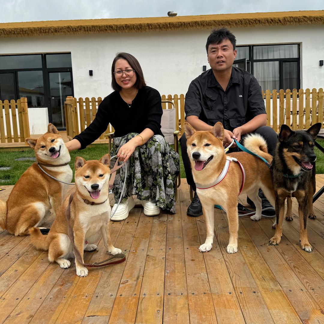 军哥的一财和它的小伙伴