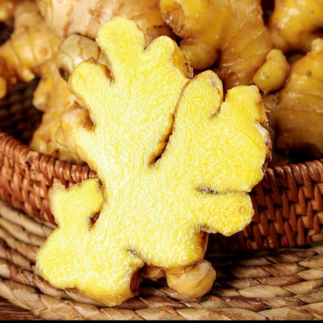 静静家的小黄姜