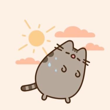 八宝饭火腿
