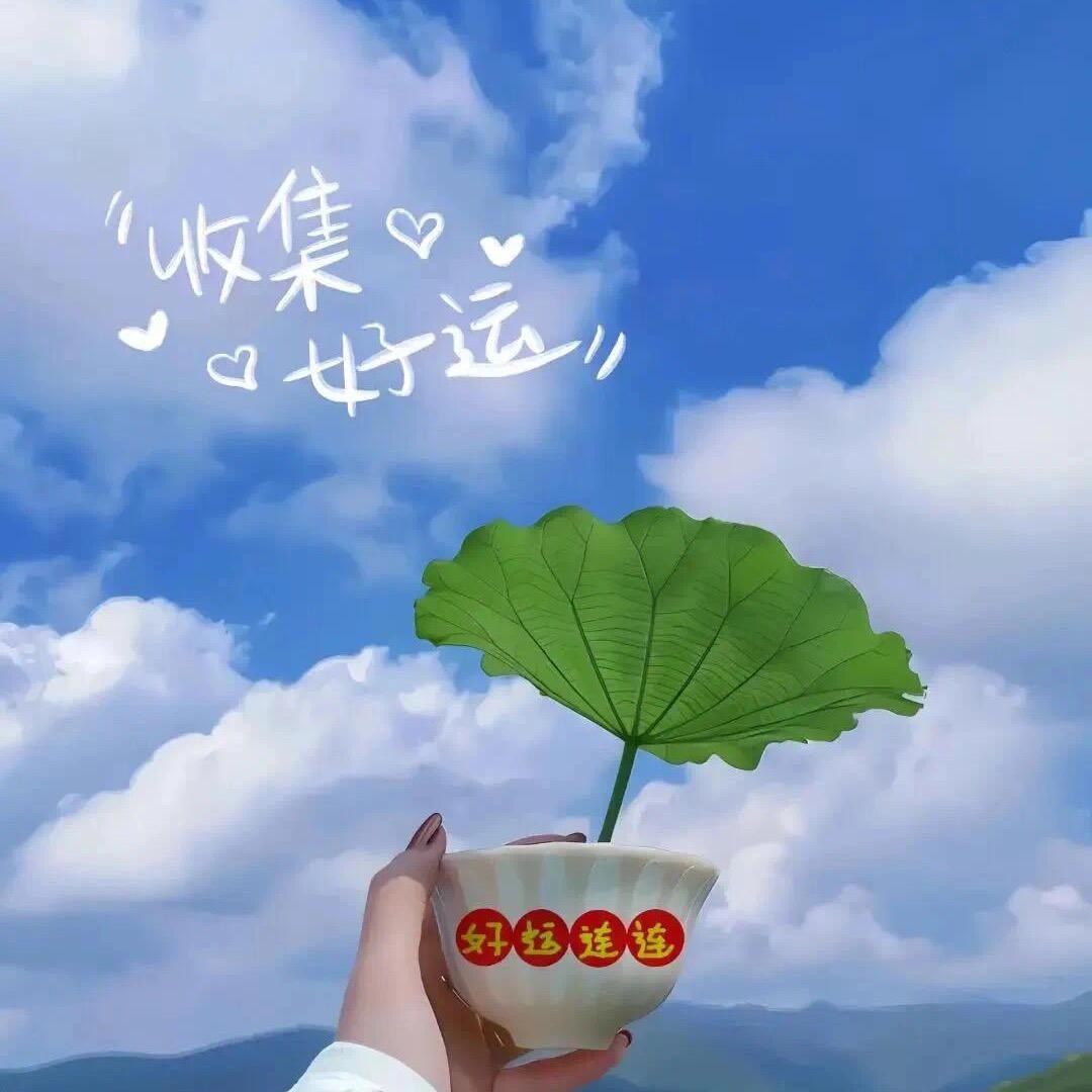 小柒爱生活