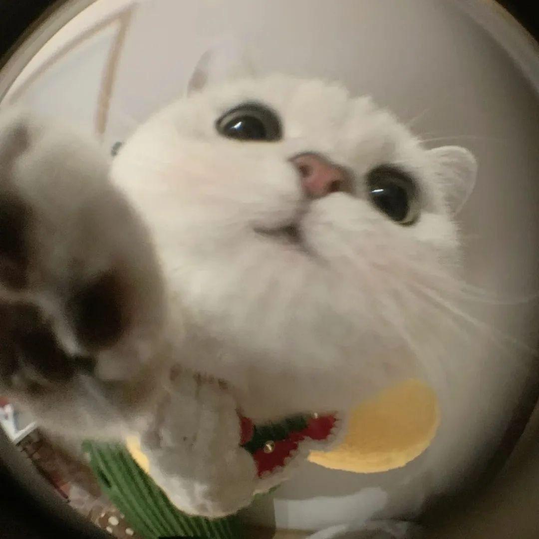 涵涵