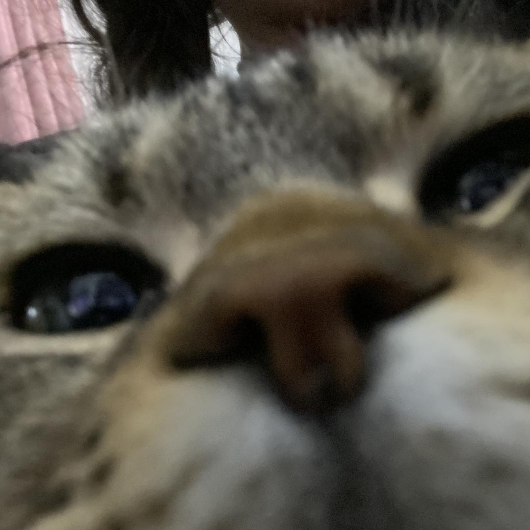 我爱玩游戏