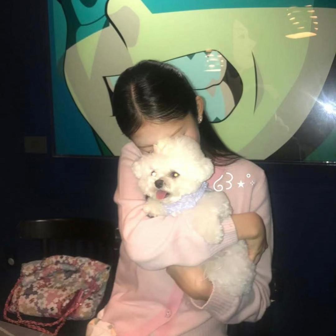 爱吃纸馅包子