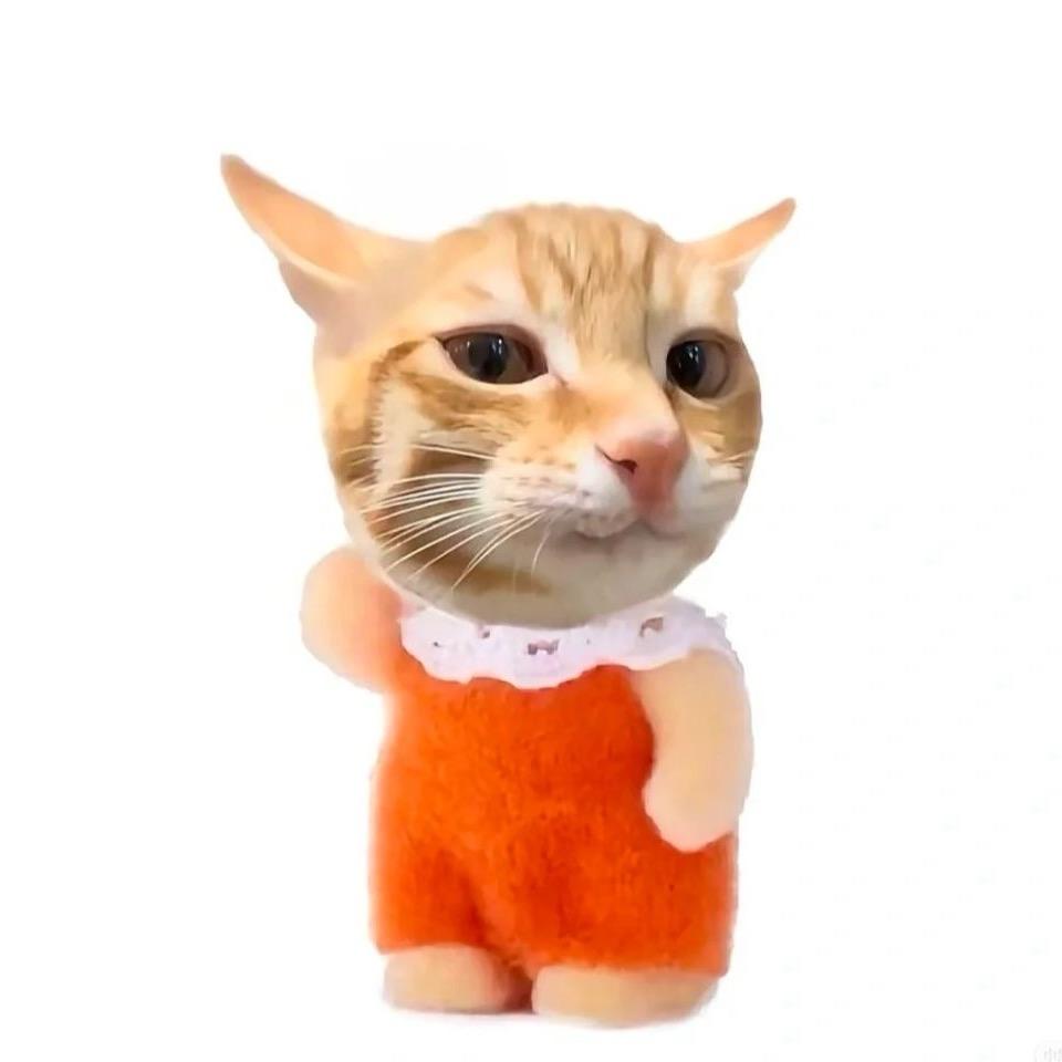 紫菜