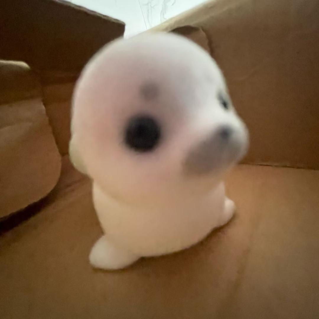 ͏͏͏͏ 默