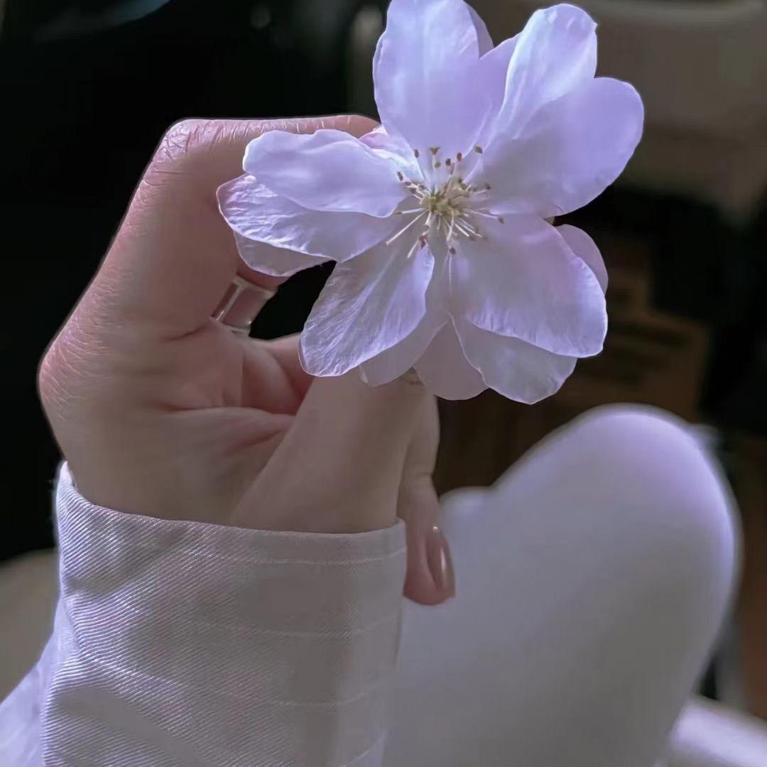 林间雾镜   🍀