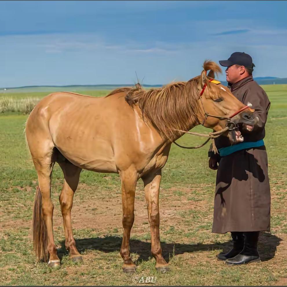 -Эрхэмзаяаа