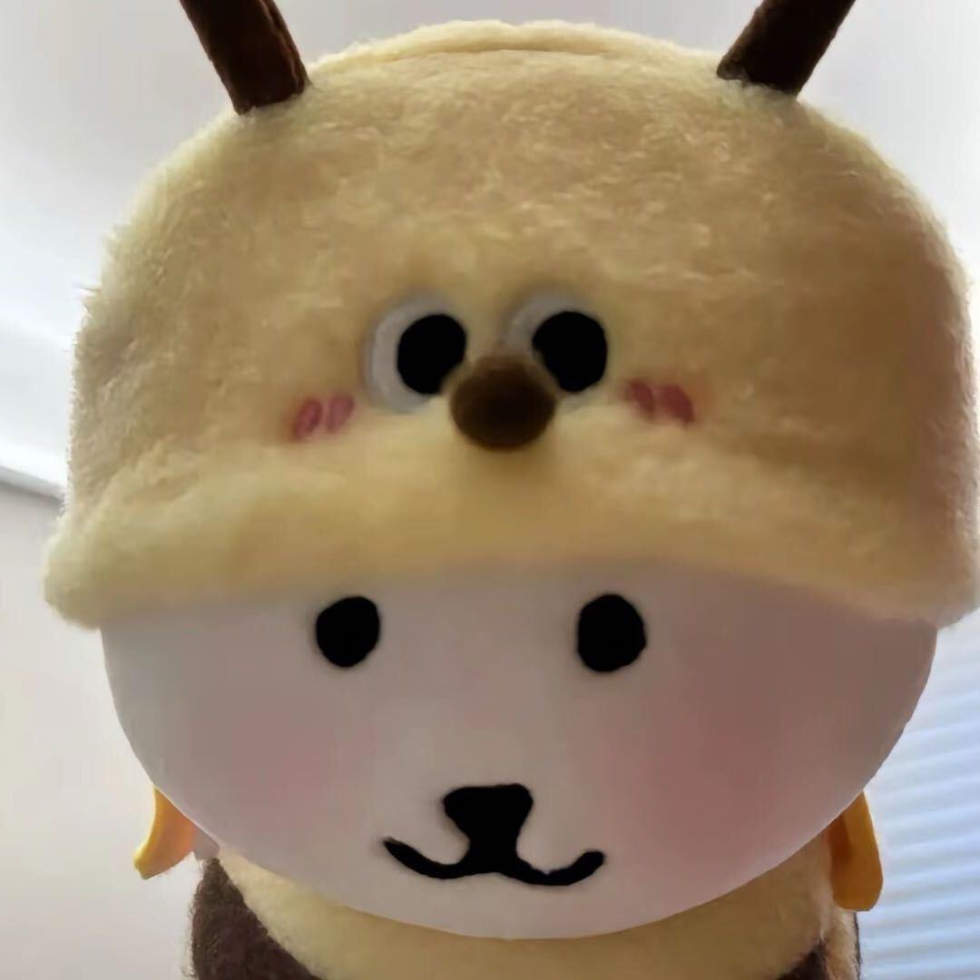 猪崽崽