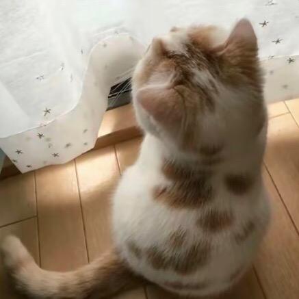 老公是个小处男